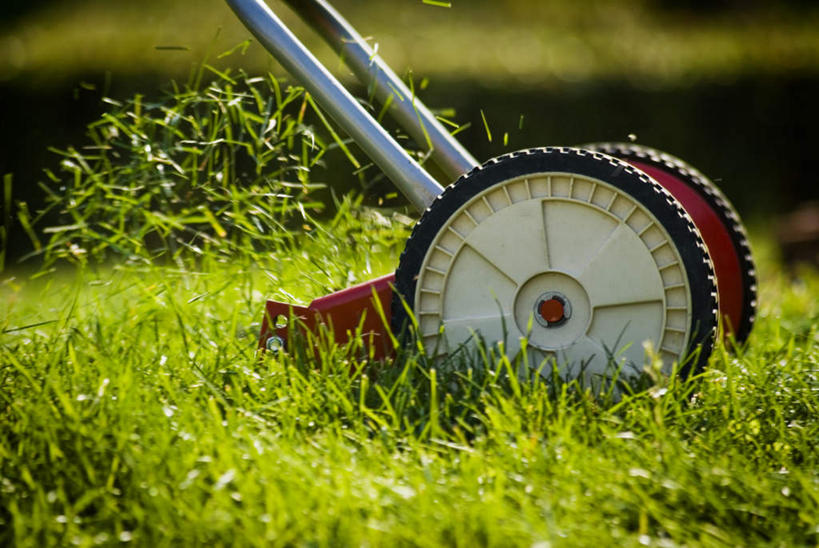 无人,农田,横图,室外,特写,白天,正面,旅游,度假,庄稼,农作物,机器,草地,草坪,美景,植物,阴影,朦胧,模糊,光线,轮子,影子,景观,娱乐,草,绿色,阳光,自然,享受,休闲,机械,景色,放松,自然风光,除草机,彩图,耕地,庄稼田