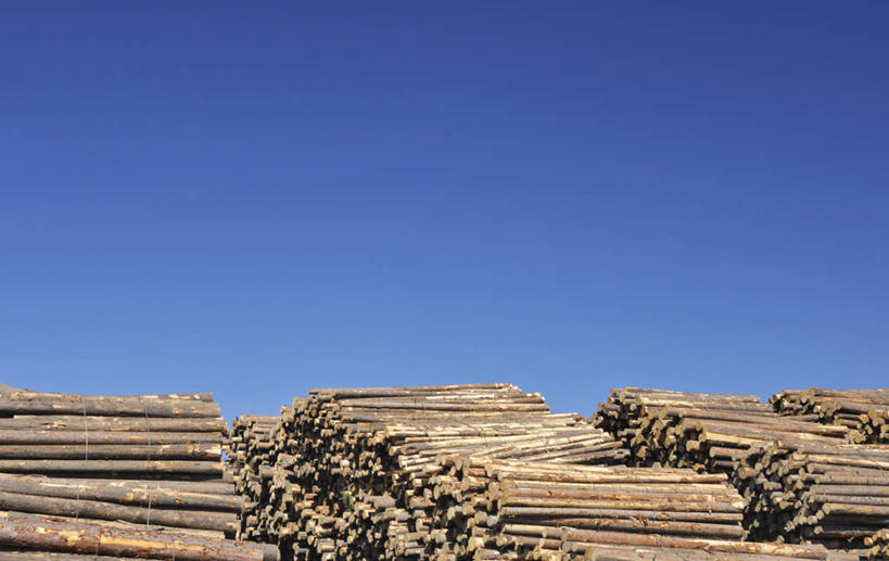 无人,横图,室外,白天,仰视,加拿大,一堆,许多,阴影,堆叠,堆积,光线,木材,影子,很多,木柴,蓝色,蓝天,天空,阳光,天,木料,晴朗,堆,北美,北美洲,美洲,万里无云,北亚美利加洲,亚美利加洲,卑诗省,不列颠哥伦比亚,不列颠哥伦比亚省,晴空,晴空万里,彩图,低角度拍摄
