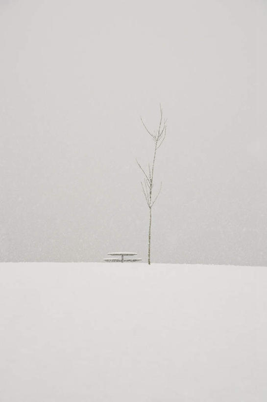 无人,公园,竖图,室外,白天,正面,旅游,度假,美景,雪,雾,大雪,餐桌,桌子,加拿大,两张,一根,一张,覆盖,阴影,朦胧,模糊,光线,木制,板凳,影子,凳子,积雪,景观,雪景,冬季,冬天,枯树,娱乐,阳光,自然,木制品,享受,休闲,景色,放松,寒冷,餐台,迷雾,北美,北美洲,自然风光,美洲,遮盖,北亚美利加洲,亚美利加洲,严寒,笼罩,卑诗省,不列颠哥伦比亚,不列颠哥伦比亚省,史丹利公园,斯坦利公园,笼盖,史坦利公园,大雾,彩图
