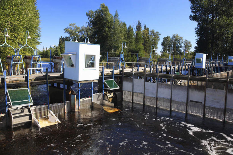 无人,栏杆,横图,室外,白天,正面,度假,美景,植物,城市风光,城市,加拿大,阴影,光线,水龙头,影子,池塘,景观,水池,围栏,娱乐,护栏,开关,树,树木,蓝色,绿色,蓝天,天空,阳光,自然,天,打开,享受,休闲,景色,放松,生长,晴朗,成长,阀门,北美,北美洲,开启,美洲,过滤器,万里无云,北亚美利加洲,亚美利加洲,水咀,卑诗省,不列颠哥伦比亚,不列颠哥伦比亚省,晴空,晴空万里,彩图