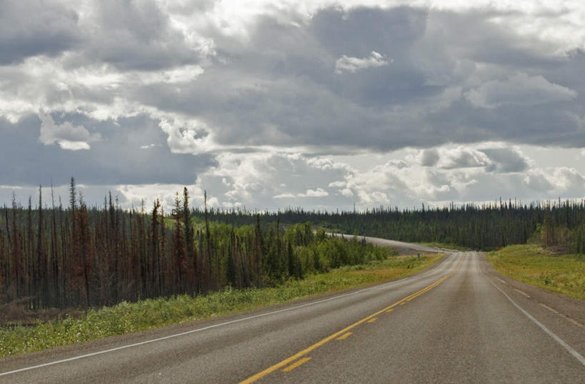 无人,横图,室外,白天,正面,旅游,度假,草地,草坪,美景,植物,道路,路,公路,加拿大,阴影,光线,影子,景观,云,云朵,分界线,停车线,交通,云彩,娱乐,草,树,树木,蓝色,绿色,白云,蓝天,天空,阳光,自然,天,享受,休闲,景色,放松,生长,晴朗,成长,车行道,车行道分界线,北美,北美洲,自然风光,标线,美洲,车行线,首府,北亚美利加洲,亚美利加洲,西北地区,耶罗纳夫,耶洛奈夫,晴空,马路,彩图