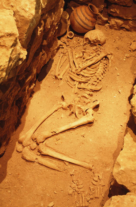 骨骼,无人,竖图,俯视,室外,特写,白天,石头,静物,阴影,光线,石子,影子,骨头,凌乱,历史,古代,阳光,墓地,死亡,骨架,混乱,坟墓,陵墓,坟场,古远,纷乱,缭乱,庞杂,石块,岩石,彩图,高角度拍摄