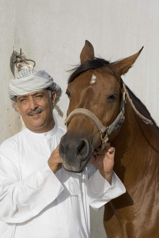一个人,笑,微笑,露齿笑,竖图,室外,白天,正面,民族服装,马,野生动物,亚洲,仅一个男性,仅一个人,牵,头巾,棕色,一匹,仅一个年轻男性,白色,动物,运输,牲畜,牵着,男人,男性,年轻男性,阿拉伯人,白种人,亚洲人,半身,彩图,传统服装,民俗服