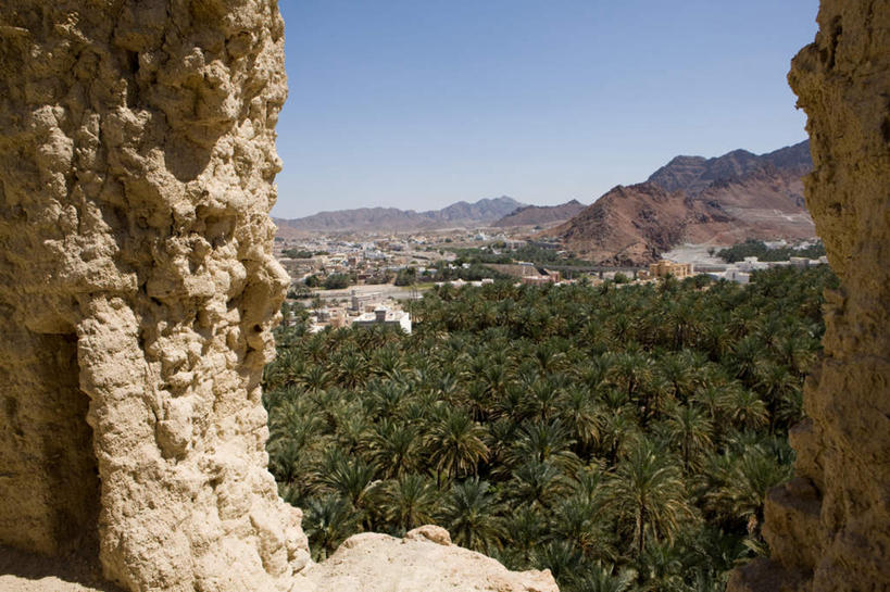 无人,横图,俯视,室外,白天,石头,山,山脉,树林,植物,棕榈树,叶子,阿曼,亚洲,阴影,粗糙,光线,石子,影子,山峰,绿叶,山峦,树,树木,蓝色,绿色,蓝天,天空,阳光,自然,群山,天,陡峭,嫩叶,高低,茂密,峭壁,茂盛,生长,晴朗,成长,凹凸,毛糙,西亚,棕榈叶,万里无云,绝壁,阿曼苏丹国,笔陡,峻峭,叶,叶片,石块,岩石,晴空,晴空万里,彩图,高角度拍摄,粗拙