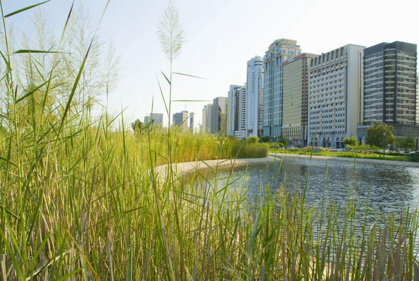 无人,高楼大厦,横图,室外,白天,正面,度假,草地,草坪,湖,湖泊,美景,水,植物,城市风光,标志建筑,城市,大厦,地标,建筑,摩天大楼,阿联酋,亚洲,阴影,波纹,繁华,光线,影子,湖面,景观,水流,水面,首都,娱乐,建设,草,树,树木,蓝色,绿色,倒影,蓝天,水纹,天空,阳光,自然,波浪,湖水,天,享受,休闲,景色,放松,茂密,茂盛,生长,成长,倒映,西亚,阿拉伯联合酋长国,阿布扎比,繁荣,反照,发达,阿布达比,彩图,大楼,高层建筑,高楼,摩天楼