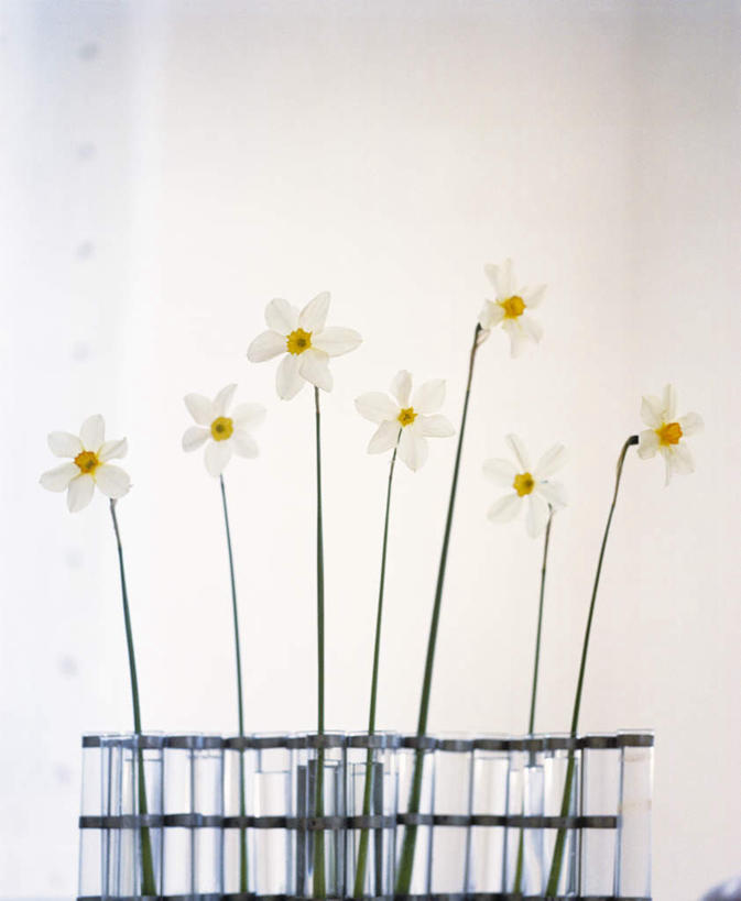 无人,家,栏杆,竖图,室内,白天,正面,爱情,陶醉,水仙花,栅栏,房屋,墙,屋子,篱笆,围栏,护栏,楼房,墙壁,墙面,住宅,记忆,金盏银台,玉玲珑,女史花,雅蒜,天蒜,敬意,自恋,凌波仙子,水仙,天葱,彩图,房子