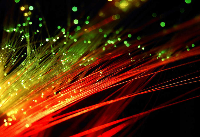 无人,横图,室外,特写,白天,正面,兴奋,热情,新鲜,光纤,开放,红色,绿色,健康,温暖,奔放,活力,积极,激情,朝气,青春,暖色,吉祥,生命,关爱,和平,安详,饱满,革命,热烈,赤色,充实,斗志,喜气,主动,冷色,彩图,欢乐