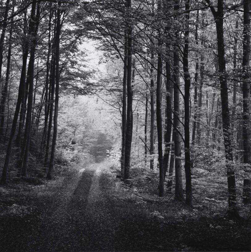 无人,方图,黑白,室外,白天,正面,旅游,度假,美景,树林,植物,道路,路,阴影,光线,影子,景观,云,云朵,小路,交通,云彩,娱乐,树,树木,蓝色,绿色,白云,蓝天,天空,阳光,自然,天,享受,休闲,景色,放松,生长,晴朗,成长,昏暗,阴暗,幽暗,自然风光,暗淡,惨淡,灰暗,晦暗,晴空