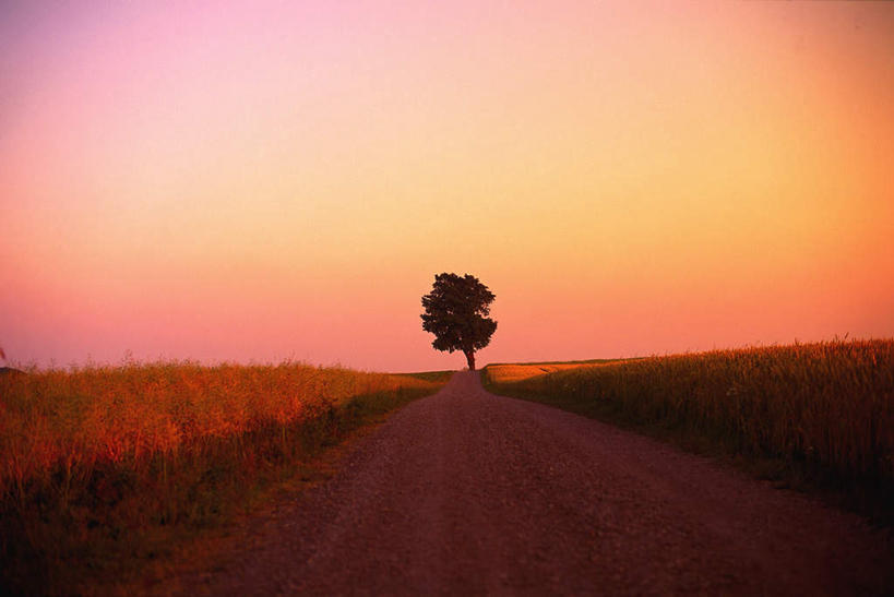 无人,横图,室外,白天,正面,旅游,度假,草地,草坪,美景,日落,山,山脉,植物,道路,路,公路,阴影,光线,白线,影子,景观,山峰,晚霞,霞光,落日,交通,山峦,娱乐,草,树,树木,蓝色,绿色,蓝天,天空,阳光,自然,黄昏,群山,天,享受,休闲,景色,彩霞,放松,生长,成长,自然风光,夕照,夕阳,马路,彩图,斜阳