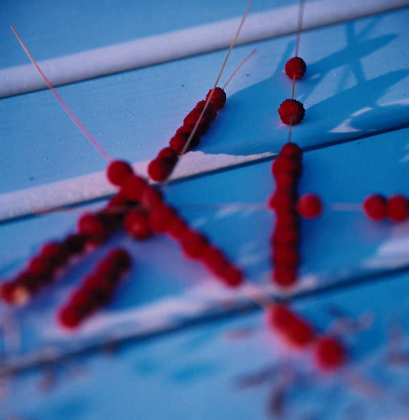 点心,无人,方图,俯视,室外,特写,白天,兴奋,热情,桌面,桌子,水果,一堆,阴影,堆叠,堆积,新鲜,光线,木制,影子,生食,食品,甜点,果实,开放,文化,小吃,食物,红色,阳光,木制品,山楂,健康,温暖,中式,奔放,活力,积极,激情,朝气,有机食品,绿色食品,糖葫芦,堆,暖色,吉祥,生命,饱满,冰糖葫芦,糖球,革命,热烈,赤色,充实,斗志,喜气,主动,红果,彩图,高角度拍摄,欢乐,传统文化