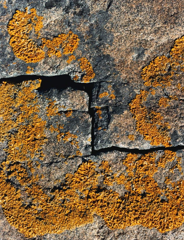 无人,竖图,室外,白天,正面,旅游,度假,石头,美景,阴影,生锈,光线,石子,影子,景观,悬崖,娱乐,阳光,自然,享受,休闲,景色,放松,腐蚀,侵蚀,自然风光,绝壁,腐化,锈迹斑斑,石块,岩石,彩图