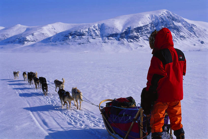西方人,一个人,站,横图,室外,白天,旅游,度假,石头,美景,山,雪,雪山,大雪,宠物,狗,瑞典,欧洲,欧洲人,仅一个男性,仅一个人,许多,奔驰,握,阴影,服装,光线,石子,影子,冰,积雪,景观,山峰,雪景,冬季,冬天,山峦,拿,拿着,注视,娱乐,车,仅一个年轻男性,背面,衣服,蓝色,蓝天,天空,阳光,自然,动物,交通工具,天,奔跑,观察,看,站着,享受,休闲,温暖,景色,放松,寒冷,可爱,握着,服饰,晴朗,观看,羽绒服,保暖,雪橇,察看,冰冷,御寒,斯堪的纳维亚,关注,自然风光,载具,北欧,斯堪的纳维亚半岛,雪橇车,斯皮茨狗,忠诚,万里无云,严寒,冰凉,酷寒,凛冽,凛凛,极冷,瑞典王国,北博滕,北博滕省,冬装,男人,男性,年轻男性,白种人,石块,岩石,晴空,晴空万里,犬,站立,彩图,全身