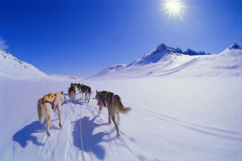 无人,横图,俯视,室外,白天,旅游,度假,石头,美景,山,雪,雪山,大雪,宠物,狗,挪威,欧洲,四只,一排,奔驰,阴影,整齐,光线,石子,纹理,影子,冰,积雪,景观,山峰,雪景,冬季,冬天,山峦,注视,娱乐,排列,蓝色,蓝天,天空,阳光,自然,动物,绳子,天,奔跑,观察,看,享受,休闲,景色,放松,寒冷,可爱,晴朗,观看,绳索,察看,冰冷,斯堪的纳维亚,队列,关注,自然风光,北欧,斯堪的纳维亚半岛,斯皮茨狗,忠诚,万里无云,严寒,冰凉,酷寒,凛冽,凛凛,极冷,挪威王国,石块,岩石,晴空,晴空万里,犬,彩图,高角度拍摄,全身