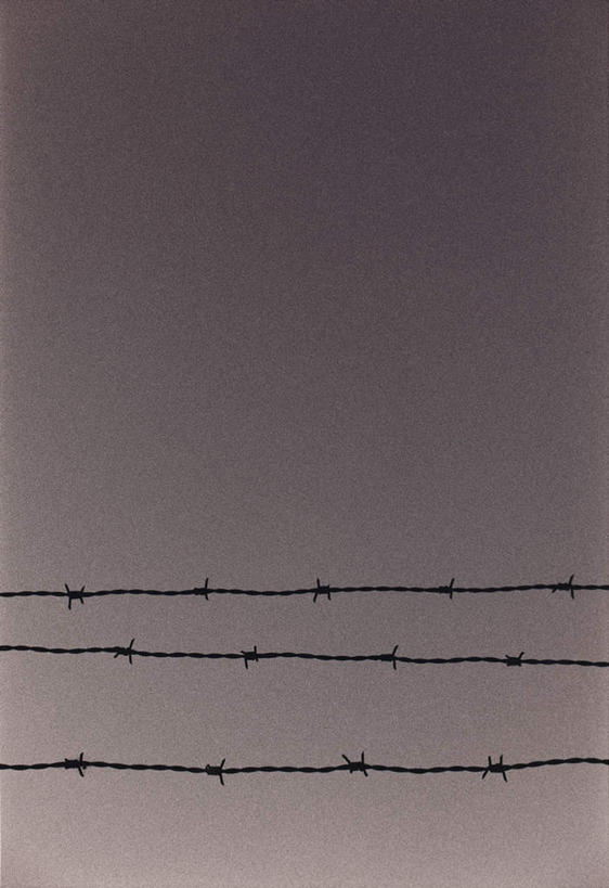 无人,竖图,黑白,室外,白天,仰视,旅游,度假,美景,一排,阴影,凸起,整齐,褶皱,光线,影子,景观,铁丝网,娱乐,排列,天空,阳光,自然,铁丝,天,享受,休闲,景色,放松,队列,自然风光,铁蒺藜,低角度拍摄