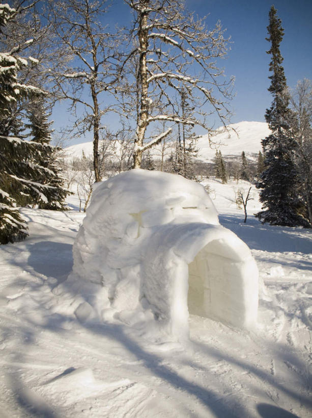 无人,竖图,俯视,室外,白天,旅游,度假,美景,树林,雪,植物,大雪,瑞典,欧洲,阴影,光线,影子,房屋,屋子,积雪,景观,雪景,冬季,冬天,文化,娱乐,树,树木,蓝色,绿色,蓝天,天空,阳光,自然,天,享受,休闲,景色,放松,寒冷,生长,晴朗,成长,斯堪的纳维亚,自然风光,北欧,斯堪的纳维亚半岛,万里无云,严寒,雪屋,瑞典王国,晴空,晴空万里,彩图,高角度拍摄,房子,小屋