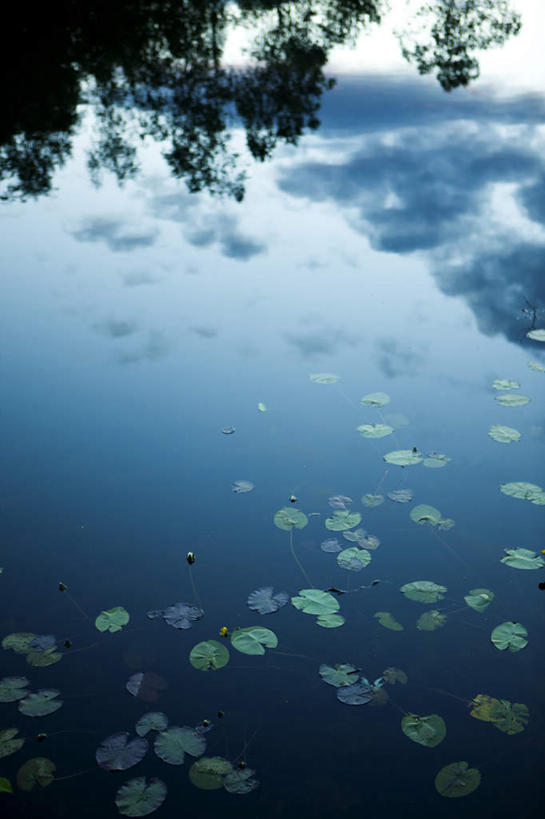 无人,竖图,俯视,室外,白天,旅游,度假,湖,湖泊,美景,水,睡莲,叶子,瑞典,欧洲,阴影,漂浮,反射,影子,湖面,景观,水流,水面,绿叶,娱乐,蓝色,蓝天,天空,自然,湖水,天,享受,休闲,嫩叶,景色,放松,晴朗,漂流,斯堪的纳维亚,自然风光,北欧,斯堪的纳维亚半岛,纯真,妖艳,万里无云,水芹花,抒情,洁净,流浪,瑞典王国,流落,流散,漂泊,飘泊,飘流,水洋花,子午莲,叶,叶片,晴空,晴空万里,彩图,高角度拍摄