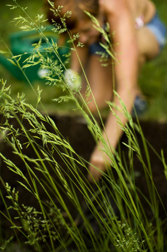 西方人,一个人,蹲,竖图,室外,白天,正面,草地,草坪,植物,欧洲,欧洲人,仅一个年轻女性,仅一个女性,仅一个人,服装,朦胧,模糊,注视,休闲装,草,衣服,绿色,观察,看,休闲,休闲服,服饰,观看,清理,察看,关注,清算,年轻女性,女人,女性,白种人,蹲着,半身,彩图