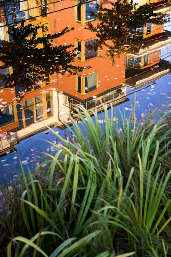 无人,家,竖图,室外,白天,仰视,度假,草地,草坪,美景,植物,窗户,城市风光,城市,瑞典,欧洲,阴影,光线,影子,房屋,屋子,景观,娱乐,楼房,玻璃窗,住宅,草,树,树木,蓝色,绿色,蓝天,天空,阳光,天,享受,休闲,景色,放松,生长,成长,颠倒,斯堪的纳维亚,倒置,北欧,斯堪的纳维亚半岛,瑞典王国,彩图,低角度拍摄,房子