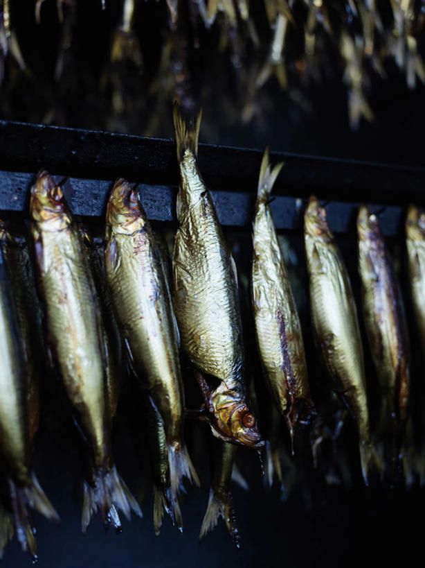 海鲜,无人,竖图,室外,特写,白天,正面,旅游,度假,一排,许多,吊挂,悬挂,黑色背景,整齐,很多,挂,娱乐,水产,海洋生物,排列,享受,休闲,放松,鲱鱼,队列,水生动物,海产品,水生物,海底动物,太平洋鲱鱼,彩图