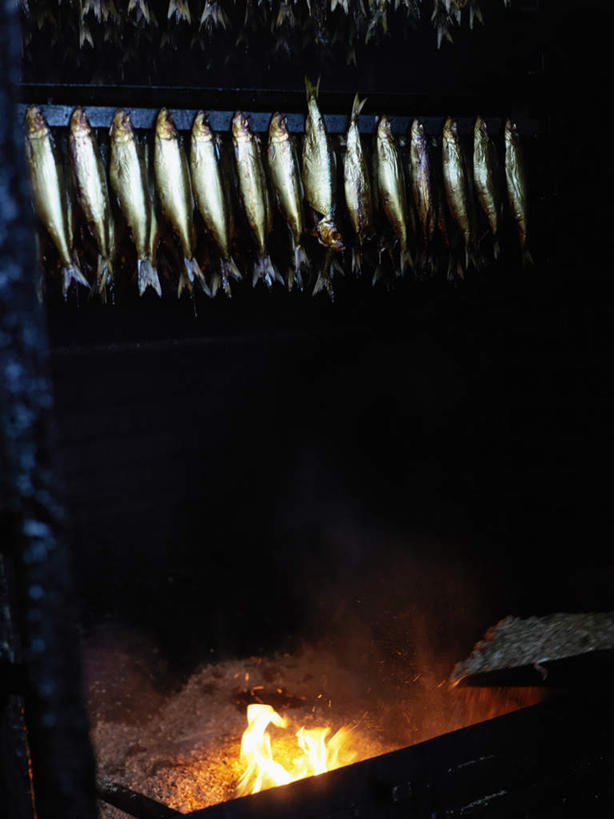 海鲜,无人,竖图,室外,白天,正面,热情,火,一排,许多,吊挂,悬挂,黑色背景,整齐,火焰,很多,燃烧,挂,水产,海洋生物,排列,鲱鱼,队列,水生动物,海产品,水生物,海底动物,太平洋鲱鱼,彩图