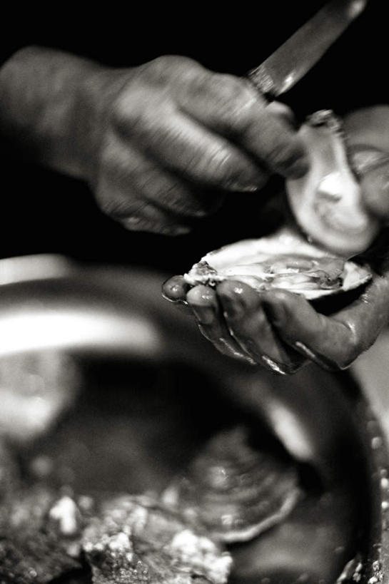 海鲜,西方人,手,一个人,竖图,俯视,黑白,室外,特写,白天,金属制品,欧洲,欧洲人,双手,仅一个男性,仅一个人,一把,切开,握,金属,工具,刀具,牡蛎,拿,拿着,水产,海洋生物,仅一个年轻男性,容器,碗,刀,切,手部,握着,储藏,生蚝,储存,水生动物,海产品,水生物,剖面,海底动物,切面,牡蛎刀,男人,男性,年轻男性,白种人,半身,高角度拍摄,贮存