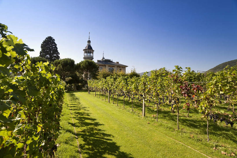 无人,工厂,果园,横图,室外,白天,正面,旅游,度假,草地,草坪,田园,植物,阴影,光线,影子,墙,屋顶,树桩,葡萄树,娱乐,葡萄园,架子,墙壁,墙面,草,树,树干,树木,蓝色,绿色,倒影,蓝天,天空,阳光,自然,庄园,天,享受,休闲,木桩,放松,生长,成长,酒庄,支撑,葡萄藤,固定,倒映,葡萄架,反照,彩图,工地,制造厂