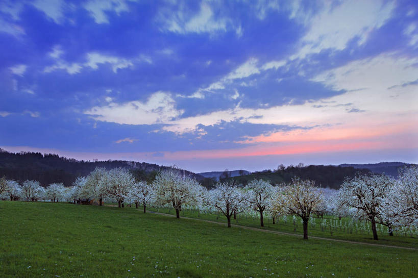 无人,横图,室外,白天,正面,旅游,度假,草地,草坪,美景,山,山脉,植物,德国,欧洲,许多,阴影,光线,影子,景观,山峰,云,云朵,果树,山峦,很多,樱桃树,云彩,娱乐,草,树,树木,蓝色,绿色,白云,蓝天,天空,阳光,自然,群山,天,享受,休闲,景色,放松,生长,晴朗,成长,西欧,自然风光,德意志联邦共和国,巴登.符腾堡,巴登.符腾堡州,巴符州,巴登巴登,晴空,彩图