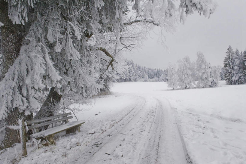 横图,室外,白天,正面,旅游,度假,美景,雪,植物,大雪,椅子,德国,欧洲,木椅,躺椅,积雪,景观,雪景,冬季,冬天,痕迹,霜,娱乐,树,树木,绿色,自然,享受,休闲,景色,放松,寒冷,生长,成长,西欧,自然风光,德意志联邦共和国,严寒,巴伐利亚,巴伐利亚州,拜恩州,拜恩自由州,陈迹,特格尔恩湖,彩图,全身