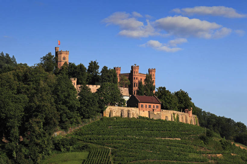 无人,农田,横图,室外,白天,正面,旅游,度假,庄稼,梯田,农作物,草地,草坪,美景,山,山脉,树林,植物,标志建筑,地标,建筑,德国,欧洲,阴影,曲折,弯曲,光线,影子,堡垒,城堡,墙,屋顶,景观,山峰,山峦,顶棚,娱乐,建设,墙壁,墙面,草,树,树木,蓝色,绿色,蓝天,天空,阳光,自然,瞭望塔,群山,天,享受,休闲,旅游胜地,景色,放松,蜿蜒,生长,晴朗,成长,西欧,要塞,自然风光,哨塔,万里无云,德意志联邦共和国,巴登.符腾堡,巴登.符腾堡州,巴符州,设防,巴登巴登,晴空,晴空万里,彩图,耕地,庄稼田