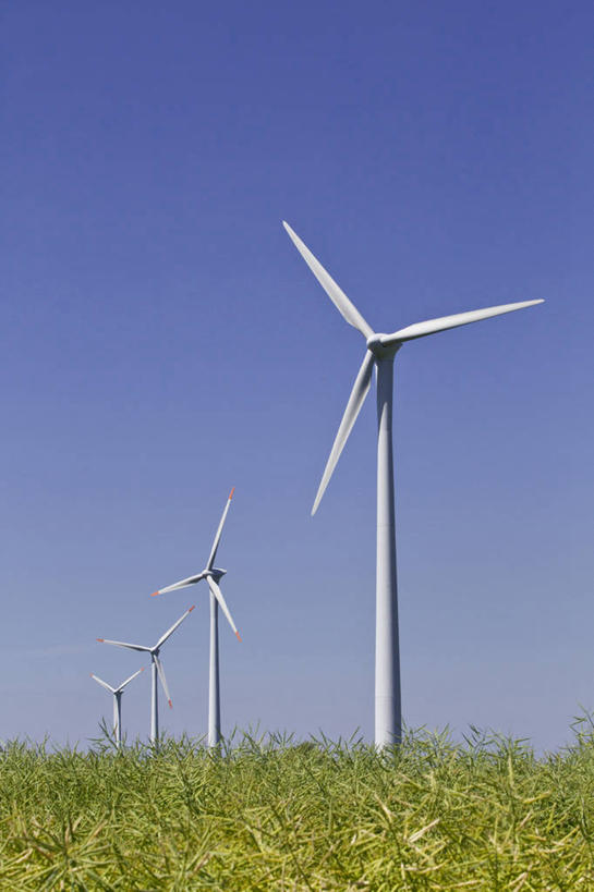 无人,农田,竖图,室外,白天,正面,旅游,度假,农业,庄稼,梯田,农作物,风力发电机,美景,风车,德国,欧洲,阴影,环保,曲折,弯曲,电力,光线,影子,景观,娱乐,设备,蓝色,蓝天,天空,阳光,自然,天,油菜花,享受,休闲,发电,机械,景色,放松,工业,蜿蜒,能源,晴朗,资源,风力机,西欧,自然风光,利用,低碳,四架,万里无云,德意志联邦共和国,石荷州,石勒苏益格.荷尔斯泰因,石勒苏益格.荷尔斯泰因州,风力发电,晴空,晴空万里,彩图,耕地,庄稼田,芸苔,芸薹