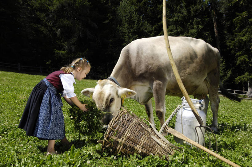 西方人,儿童,一个人,站,交叉,横图,室外,白天,侧面,工作服,制服,旅游,度假,草地,草坪,美景,植物,竹子,牛,金属制品,意大利,欧洲,欧洲人,仅一个女性,仅一个人,弯腰,握,阴影,花纹,竹制,编织,光线,金属,工具,篮子,水桶,影子,景观,拿,拿着,注视,娱乐,草,树,树木,小孩,绿色,阳光,自然,动物,竹篮,观察,看,站着,仅一个小孩,享受,休闲,家畜,景色,放松,喂,握着,牲畜,生长,成长,观看,竹条,交织,挖掘,钉耙,察看,锄,锄头,竹制品,关注,南欧,自然风光,斑纹,农具,意大利共和国,弯身,耕具,工作制服,穿插,开掘,发掘,开垦,女孩,女人,女性,白种人,孩子,奶牛,站立,彩图,全身,工作套服,女生