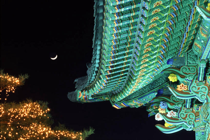 无人,横图,室外,夜晚,仰视,旅游,度假,植物,标志建筑,地标,建筑,照明,韩国,亚洲,阴影,花纹,装饰,光线,彩灯,瓦片,影子,屋顶,月亮,灯光,枝条,月光,顶棚,瓦,娱乐,建设,灯,树,树木,树枝,绿色,自然,灯具,享受,休闲,旅游胜地,放松,建造,花灯,生长,成长,华丽,修饰,明亮,照亮,点缀,照明设备,东亚,屋瓦,大邱,衬托,美观,雅致,雅观,皎洁,大韩民国,广域市,大丘,大邱市,大邱广域市,虬枝,枝杈,彩图,低角度拍摄