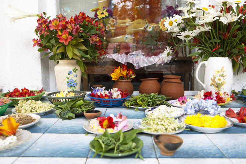 无人,横图,室外,白天,正面,餐具,花瓶,叶子,雕塑,斯里兰卡,亚洲,艺术,装饰,盛开,雕刻,雕像,陶瓷,墙,绿叶,陶瓷制品,花蕾,墙壁,墙面,玻璃制品,花,花瓣,花朵,鲜花,玻璃瓶,瓶子,容器,工艺品,碗,花苞,花蕊,嫩叶,纪念,储藏,美术,储存,主题,南亚,陈列,功能,美学,斯里兰卡民主社会主义共和国,努瓦拉埃利亚,努沃勒埃利耶,叶,叶片,进餐用具,烹调用具,彩图,贮存