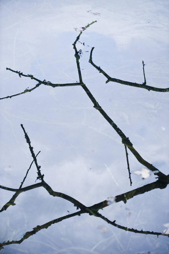 无人,竖图,室外,特写,白天,仰视,美景,植物,德国,欧洲,景观,枯枝,枝条,树,树木,树枝,自然,景色,西欧,自然风光,德意志联邦共和国,巴伐利亚,巴伐利亚州,拜恩州,拜恩自由州,虬枝,枝杈,贝希特斯加登,贝希特斯加登县,彩图,低角度拍摄