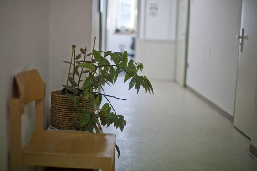 无人,横图,室内,白天,正面,植物,门,德国,欧洲,朦胧,模糊,木制,板凳,盆栽,凳子,盆景,地面,绿色,自然,把手,门把手,木制品,门框,生长,成长,门把,西欧,等候室,德意志联邦共和国,巴伐利亚,巴伐利亚州,拜恩州,拜恩自由州,拉手,彩图