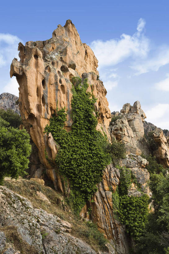 无人,竖图,室外,白天,仰视,石头,美景,山,山脉,植物,法国,欧洲,阴影,光线,石子,影子,景观,山峰,云,云朵,山峦,云彩,树,树木,蓝色,绿色,白云,蓝天,天空,阳光,自然,群山,天,景色,生长,晴朗,成长,自然风光,沉积岩,法兰西共和国,法兰西第五共和国,南科西嘉,南科西嘉省,水成岩,石块,岩石,晴空,彩图,低角度拍摄