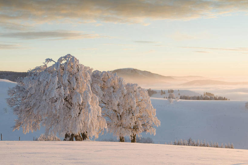 无人,横图,室外,白天,正面,安全,日出,日落,山,山脉,雪,植物,大雪,德国,欧洲,阴影,平静,光线,影子,积雪,山峰,晚霞,霞光,雪景,云,云朵,冬季,冬天,落日,山峦,云彩,树,树木,绿色,白云,阳光,自然,黄昏,群山,彩霞,寒冷,生长,成长,宁静,西欧,和平,安详,德意志联邦共和国,严寒,太平,安适,巴登.符腾堡,巴登.符腾堡州,巴符州,安好,宁靖,夕照,弗莱堡,弗赖堡,夕阳,彩图,斜阳