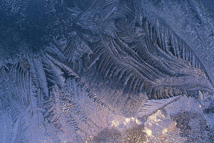 无人,横图,室外,夜晚,正面,窗户,蜡烛,叶子,圣诞节,阴影,节日,庆祝,光线,火焰,影子,烛光,冰,结冰,冰块,绿叶,燃烧,文化,玻璃窗,点燃,庆典,嫩叶,寒冷,纪念,冰冷,冻结,叶,叶片,彩图