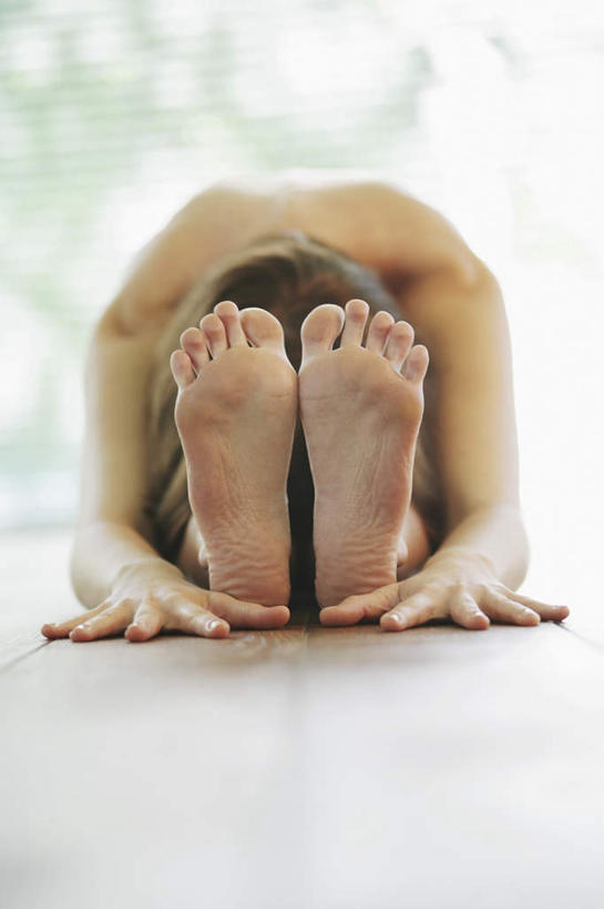 西方人,一个人,竖图,室内,白天,正面,锻炼,瑜伽,运动,植物,地板,欧洲,欧洲人,仅一个年轻女性,仅一个女性,仅一个人,弯腰,阴影,朦胧,模糊,光线,影子,地面,木地板,树,树木,绿色,阳光,自然,趴着,养生,生长,成长,弯身,炫光,体育,年轻女性,女人,女性,白种人,趴,彩图,全身,健身