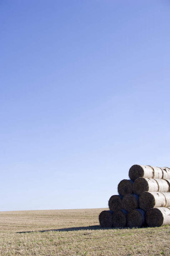 无人,农田,竖图,室外,白天,正面,旅游,度假,农业,庄稼,农作物,美景,秋季,城市,德国,欧洲,一排,许多,阴影,丰收,整齐,光线,影子,稻田,景观,稻草,干草,很多,娱乐,排列,蓝色,蓝天,天空,阳光,自然,天,享受,休闲,景色,放松,收获,晴朗,堆,西欧,队列,自然风光,万里无云,德意志联邦共和国,图林根,魏玛,晴空,晴空万里,秋,秋天,彩图,耕地,庄稼田,图林根州