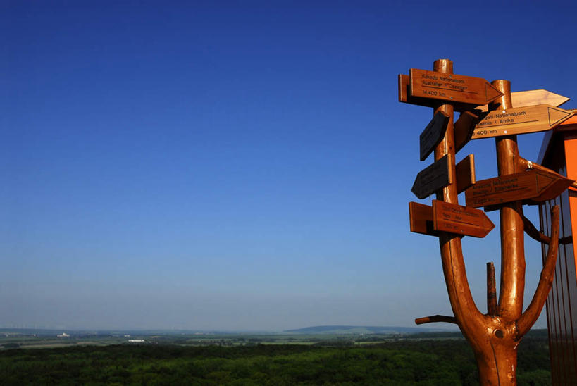 无人,横图,室外,白天,正面,旅游,度假,美景,植物,德国,欧洲,阴影,光线,木制,英文,标志,路标,文字,影子,字符,字母,景观,球场,褐色,枝条,方向,娱乐,标识,高尔夫球场,箭头,树,树木,树枝,蓝色,蓝天,天空,阳光,自然,木制品,天,享受,休闲,景色,放松,晴朗,英文字母,指向,西欧,自然风光,绿茵场,万里无云,德意志联邦共和国,簇,虬枝,枝杈,图林根,晴空,晴空万里,彩图,图林根州