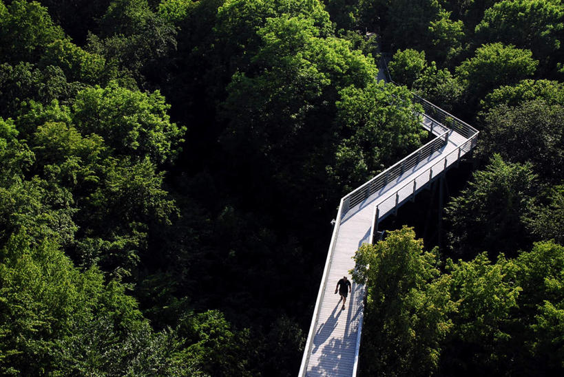 西方人,一个人,栏杆,走,横图,俯视,室外,白天,旅游,度假,美景,山,树林,植物,德国,欧洲,欧洲人,仅一个男性,仅一个人,阴影,曲折,光线,木板,影子,景观,山峰,围栏,桥,木桥,山峦,娱乐,护栏,树,树木,仅一个年轻男性,绿色,阳光,自然,享受,休闲,景色,放松,生长,成长,人行桥,木板桥,西欧,自然风光,德意志联邦共和国,图林根,男人,男性,年轻男性,白种人,步行,散步,走路,彩图,高角度拍摄,全身,图林根州