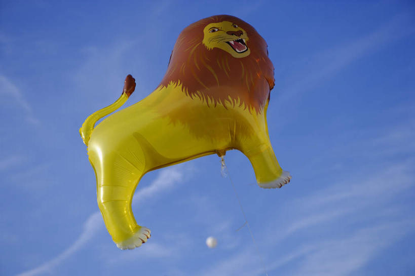 无人,笑,微笑,露齿笑,横图,室外,白天,仰视,游戏,哺乳动物,野生动物,狮子,玩具,阴影,光线,影子,塑料,云,云朵,玩,云彩,奔腾,娱乐,一个,蓝色,白云,蓝天,天空,阳光,动物,气球,塑料制品,天,休闲,充气玩具,橡胶,益智,晴朗,单个,活动,发泄,消遣,智力,飞跃,凶猛,橡胶制品,宣泄,残暴,凶残,晴空,玩耍,嬉戏,彩图,低角度拍摄