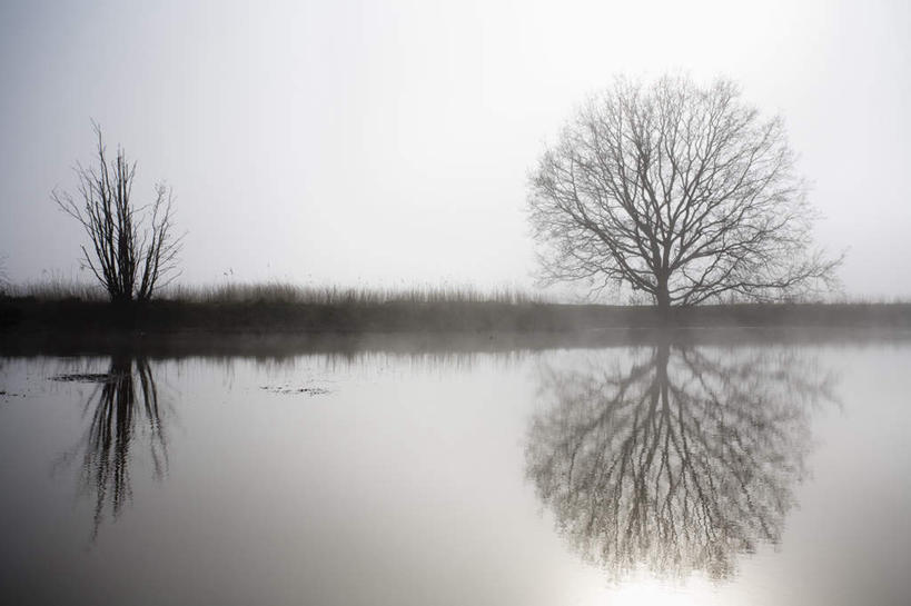 无人,横图,室外,白天,正面,旅游,度假,湖,湖泊,美景,水,植物,雾,德国,欧洲,波纹,枯萎,朦胧,模糊,湖面,景观,水流,水面,枯草,拂晓,黎明,涟漪,娱乐,草,树,树木,黄色,绿色,倒影,水纹,自然,波浪,湖水,享受,休闲,景色,放松,生长,成长,迷雾,倒映,西欧,自然风光,德意志联邦共和国,水晕,石荷州,石勒苏益格.荷尔斯泰因,石勒苏益格.荷尔斯泰因州,反照,大雾,彩图