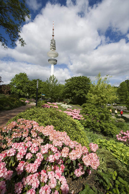 无人,竖图,室外,白天,仰视,度假,草地,草坪,花海,花圃,美景,植物,城市风光,城市,叶子,德国,欧洲,阴影,盛开,光线,影子,景观,云,云朵,汉堡,花蕾,云彩,娱乐,草,花,花瓣,花朵,花卉,鲜花,树,树木,蓝色,绿色,白云,蓝天,天空,阳光,自然,花丛,花束,花田,天,花苞,花蕊,享受,休闲,景色,放松,生长,晴朗,成长,无线电,西欧,德意志联邦共和国,通信塔,汉堡市,晴空,彩图,低角度拍摄,海港