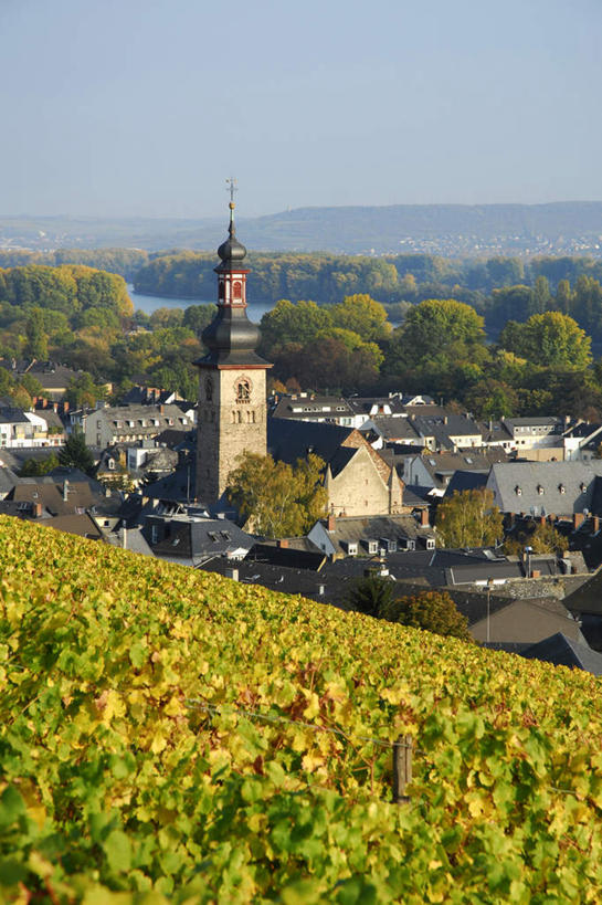 无人,家,果园,竖图,俯视,室外,白天,度假,湖,湖泊,美景,山,山脉,水,田园,植物,城市风光,城市,德国,欧洲,一排,阴影,波纹,丰富,丰收,新鲜,整齐,光线,影子,房屋,屋子,湖面,景观,山峰,水流,水面,涟漪,山峦,丰盛,娱乐,楼房,葡萄园,架子,住宅,树,树木,排列,蓝色,绿色,蓝天,水纹,天空,阳光,自然,庄园,波浪,湖水,群山,天,享受,休闲,景色,放松,生长,晴朗,成长,青春,支撑,固定,生命,西欧,队列,和平,安详,葡萄架,万里无云,德意志联邦共和国,水晕,冷色,丰登,丰硕,吕德斯海姆,晴空,晴空万里,彩图,高角度拍摄,房子