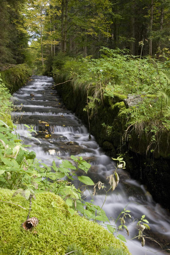 无人,竖图,室外,白天,正面,旅游,度假,草地,草坪,河流,美景,瀑布,森林,树林,水,植物,奥地利,欧洲,阴影,飞溅,溅,光线,液体,影子,河水,景观,水滴,水流,娱乐,水珠,草,树,树木,绿色,小溪,阳光,自然,溪水,享受,休闲,景色,放松,生长,成长,喷洒,自然风光,中欧,奥地利共和国,上奥地利,上奥地利州,跌水,彩图