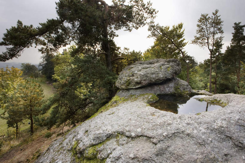 无人,横图,室外,白天,正面,度假,草地,草坪,石头,美景,植物,城市风光,城市,奥地利,欧洲,阴影,波纹,光线,石子,影子,池塘,景观,水池,涟漪,娱乐,草,树,树木,蓝色,绿色,蓝天,水纹,天空,阳光,自然,波浪,天,享受,休闲,景色,放松,生长,晴朗,成长,中欧,万里无云,水晕,奥地利共和国,上奥地利,上奥地利州,石块,岩石,晴空,晴空万里,彩图