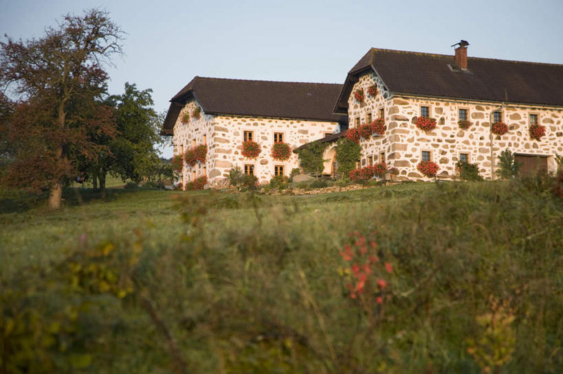 无人,家,横图,室外,白天,仰视,度假,草地,草坪,花海,花圃,美景,日落,植物,城市风光,城市,叶子,奥地利,欧洲,阴影,盛开,光线,影子,房屋,屋子,景观,晚霞,霞光,落日,花蕾,娱乐,楼房,住宅,草,花,花瓣,花朵,花卉,鲜花,树,树木,蓝色,绿色,蓝天,天空,阳光,自然,黄昏,花丛,花束,花田,天,花苞,花蕊,享受,休闲,景色,彩霞,放松,生长,晴朗,成长,中欧,万里无云,奥地利共和国,夕照,两栋,上奥地利,上奥地利州,晴空,晴空万里,夕阳,彩图,低角度拍摄,房子,斜阳
