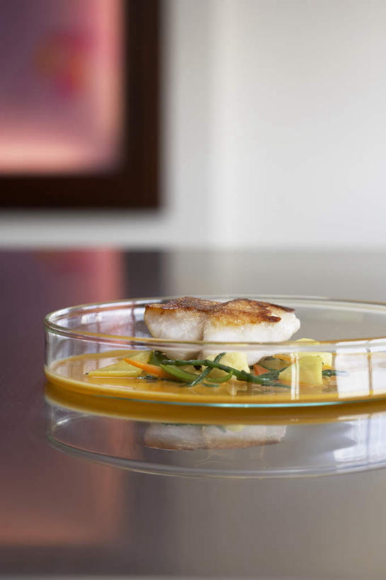 无人,竖图,俯视,室内,特写,白天,烹饪,西餐,餐桌,桌子,蔬菜,餐具,玻璃,阴影,朦胧,模糊,新鲜,反射,鱼,碟子,盘,影子,墙,肉,汤,鱼肉,料理,食品,菜肴,美食,肉类,鱼类,海洋生物,墙壁,墙面,玻璃制品,食物,一个,白色,盘子,碟,西式,佳肴,有机食品,绿色食品,单个,餐台,有毒,水生动物,水生物,肉食,海底动物,蝎子鱼,彩图,高角度拍摄